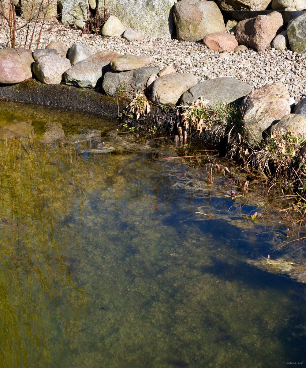 teichschlamm biologischer teichschlammentferner