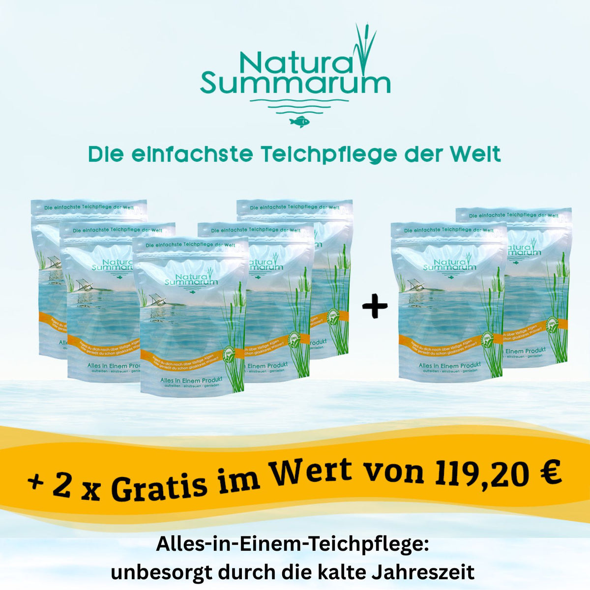 Natura Summarum - NaturaSummarum.de