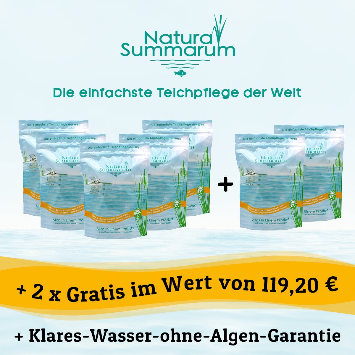 Natura Summarum - Natura Summarum GmbH